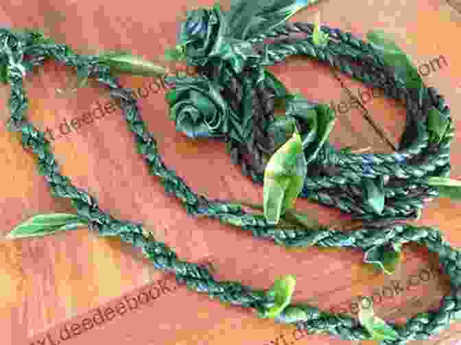 A Beautiful Sida Lei, Made From The Dried Leaves Of The Sida Plant. Dr Stantons The Epilogue Sida Lei