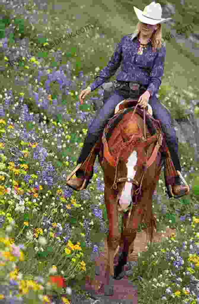 A Cowboy On Horseback, Riding Through A Field Of Wildflowers Trail From St Augustine (Cracker Western)