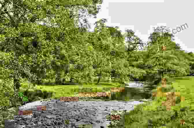 A Serene River Meandering Through The Lush Countryside Of Devon, Fringed By Vibrant Greenery And Dotted With Charming Boats Meandering On Rivers And Canals In Devon (Meandering Walking Series)