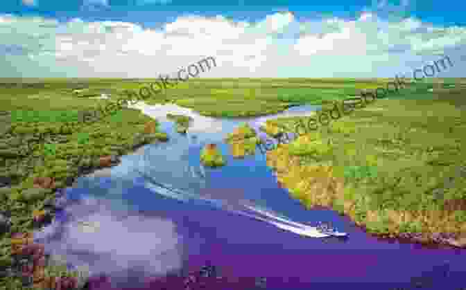 An Aerial View Of The Vast Everglades Wilderness, With Its Winding Waterways And Dense Vegetation Trail From St Augustine (Cracker Western)