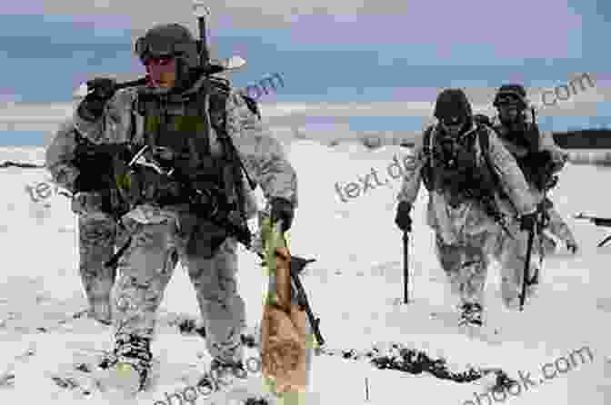 Blizzard Showdown Alaska Unit Marines Conducting A Training Exercise In The Mountains Of Alaska. Blizzard Showdown (Alaska K 9 Unit 8)