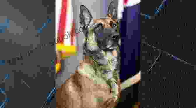 K9 Adam Apprehending The Armed Fugitive. Avenging Adam (FBI K9 1)