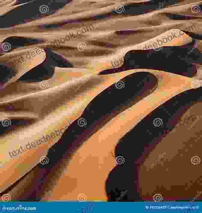 Panoramic View Of Sand River James Vaughan, Showcasing Its Vast Sand Dunes And Distant Mountains. Sand River James Vaughan