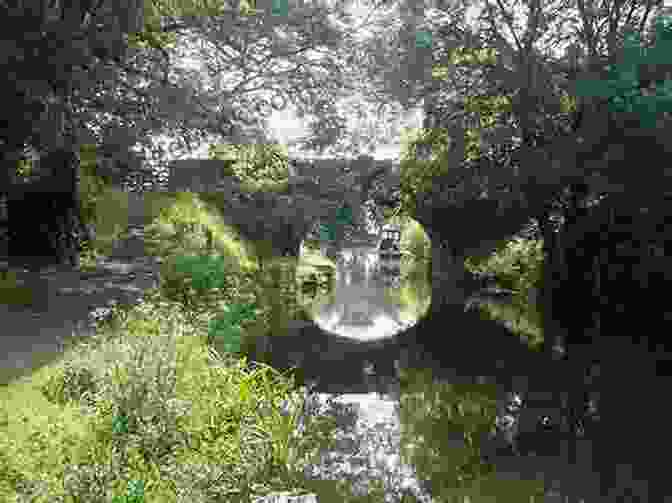 The Grand Western Canal Meandering Through The Countryside Of Devon, With A Narrowboat Navigating Its Tranquil Waters And Lush Greenery Lining The Banks Meandering On Rivers And Canals In Devon (Meandering Walking Series)