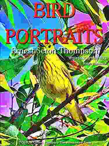 Bird Portraits (Illustrations) Ernest Thompson Seton