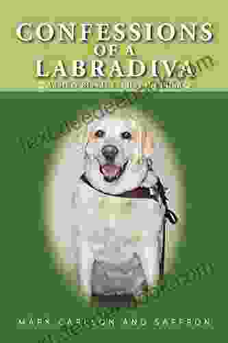 Confessions Of A Labradiva: Another Blonde Leading The Blind